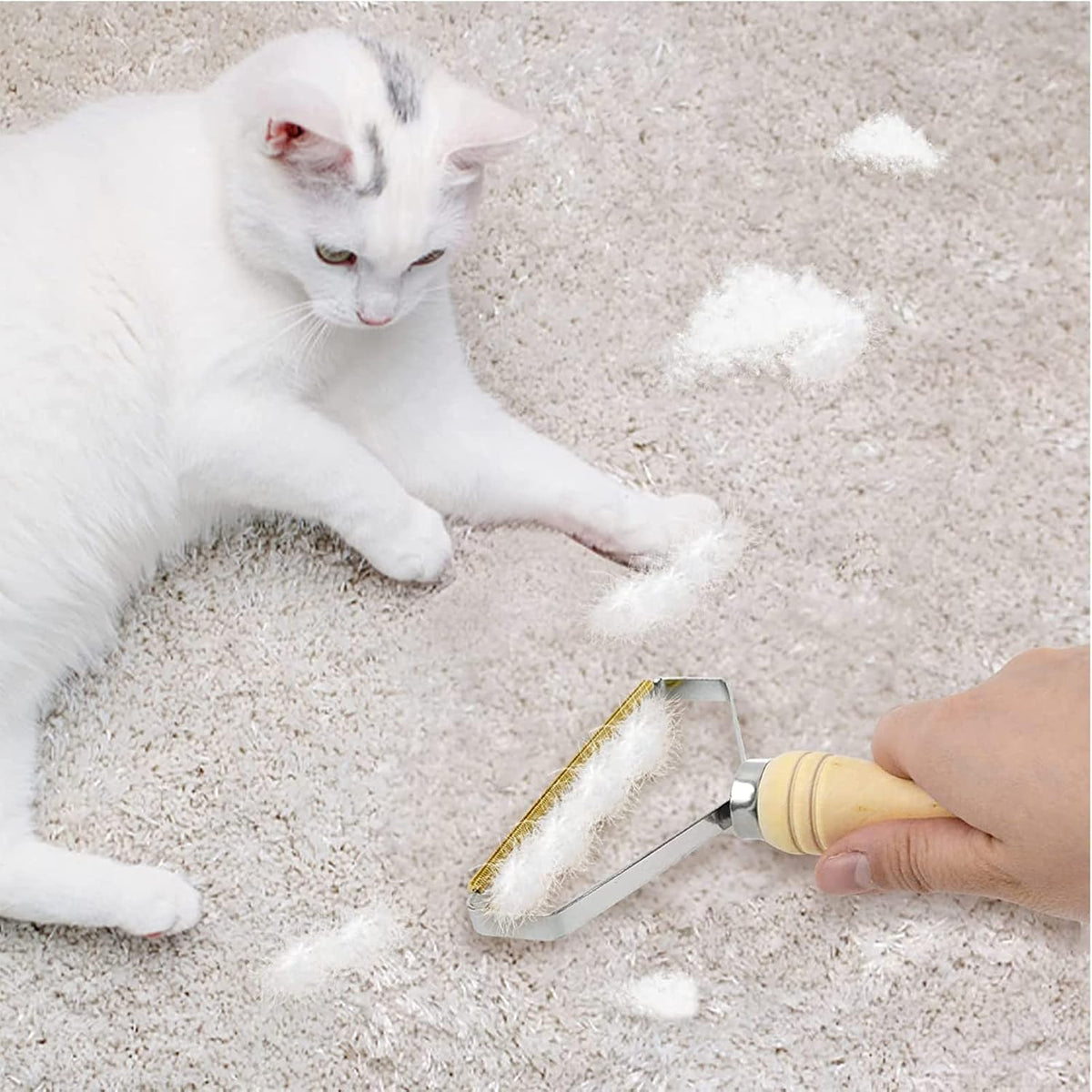 Pet Hair Remover Set for Carpet, Sofa & Clothes
