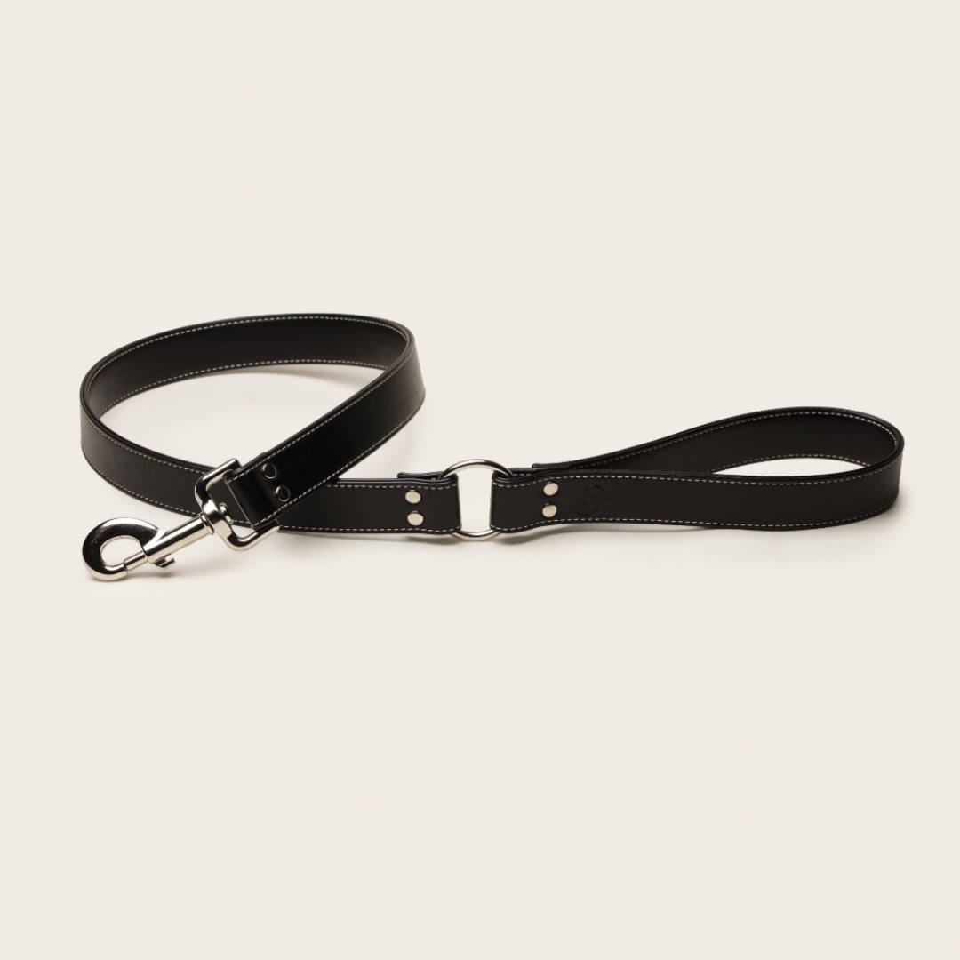 Black Apple Leather Dog Lead