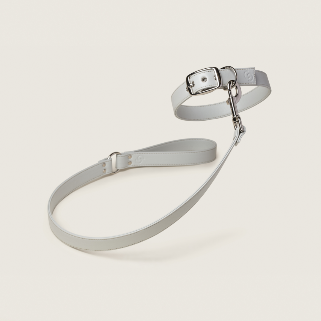 Ice Blue Apple Leather Dog Lead