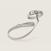 Ice Blue Apple Leather Dog Lead
