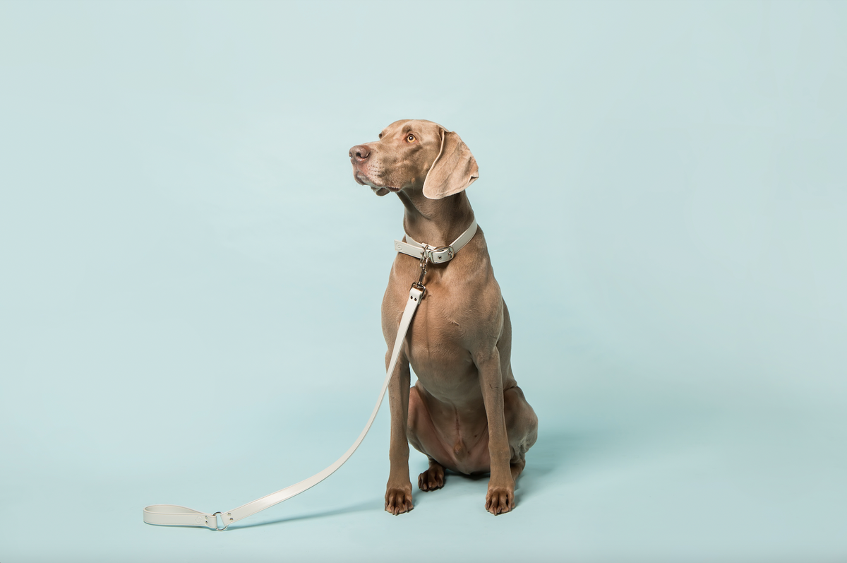 Ice Blue Apple Leather Dog Lead