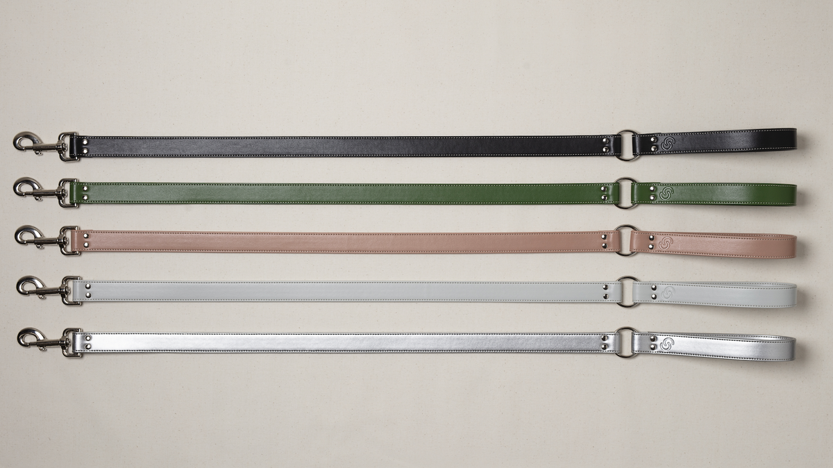 Ice Blue Apple Leather Dog Lead