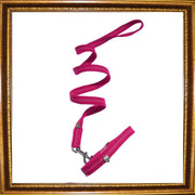 Prediletto Heart Dog Collar & Lead Set